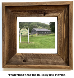 trail rides near me in Holly Hill, Florida